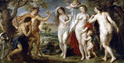 Яблони. Яблоня – описание, посадка, уход