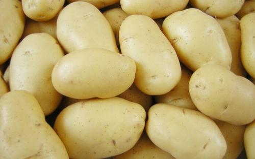 Сорта картофеля с описанием. Самые ранние сорта картофеля