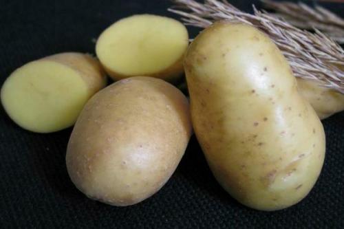 Картофель Невский: описание сорта и характеристика