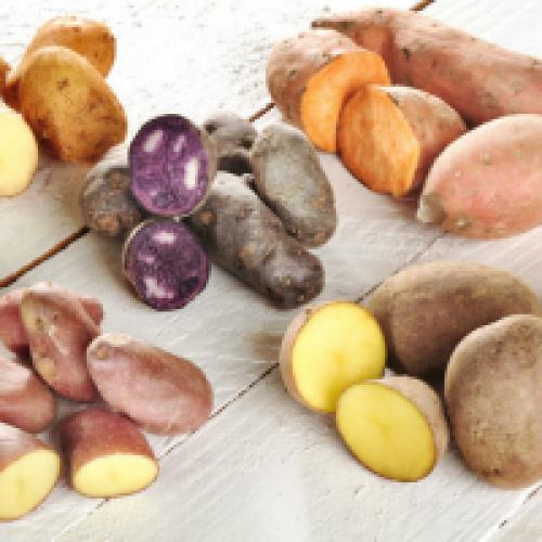 Ключевые характеристики сорта картофеля. Описание основных сортов картофеля 01