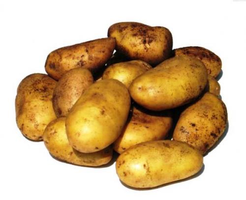 Лучшие сорта картофеля. Обзор лучших сортов