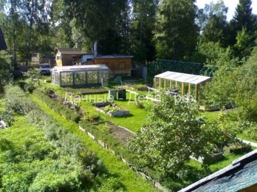 Многолетние астры в осенних цветниках. Многолетняя астра – 5 шагов к цветущему осеннему бордюру 05 Многолетние астры в осенних цветниках. Многолетняя астра – 5 шагов к цветущему осеннему бордюру 05