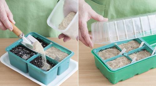 Астры и только астры. Астры многолетние: описание 13 видов, уход и посадка в домашних условиях, способы размножения и выращивания из семян (Фото & Видео) +Отзывы 13