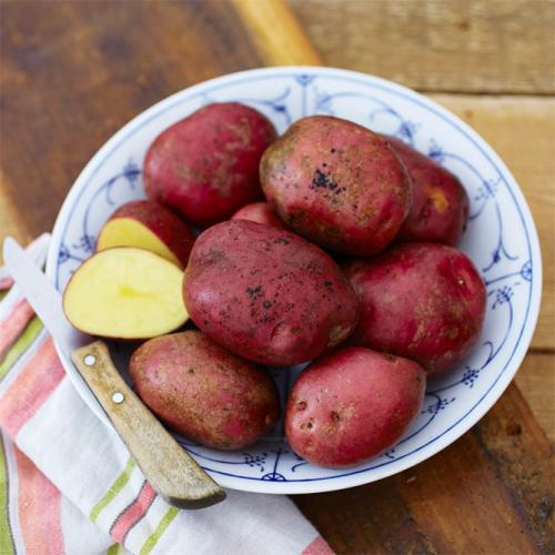 Картофель сорт розара. Описание