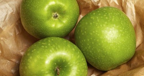 Зимние яблоки сорта. Всё про зимние сорта яблок