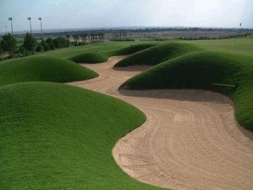 Кустарники вдоль дорожек. Что посадить вдоль дорожек