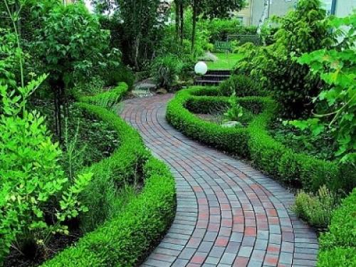 Кустарники вдоль дорожек. Что посадить вдоль дорожек