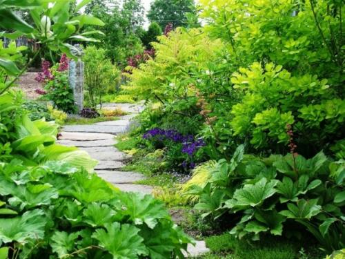 Кустарники вдоль дорожек. Что посадить вдоль дорожек