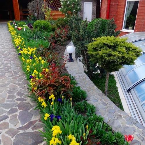 Цветы вдоль дорожки. Какие растения выбрать