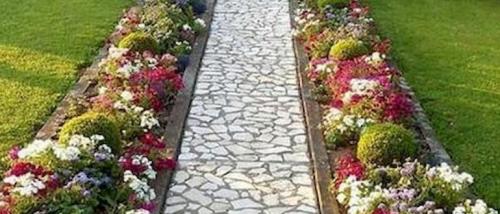 Как оформить цветник вдоль дорожки. Бордюрные цветы