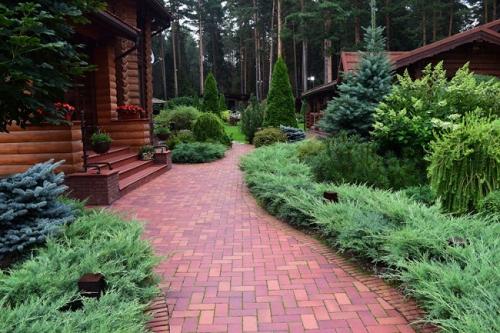 Цветы вдоль дорожки. Какие растения выбрать