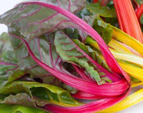 Мангольд, как использовать. Рецепты блюд из мангольда 02