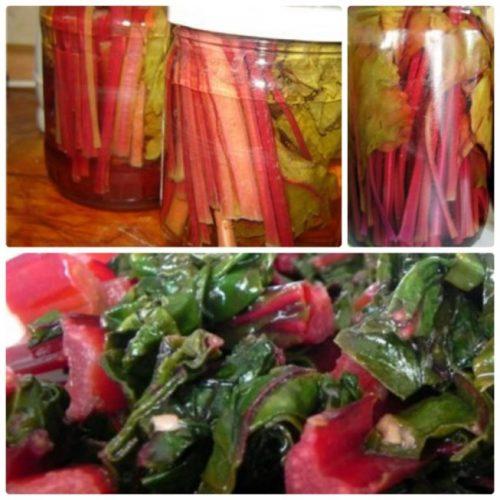 Мангольд, как использовать. Рецепты блюд из мангольда 01