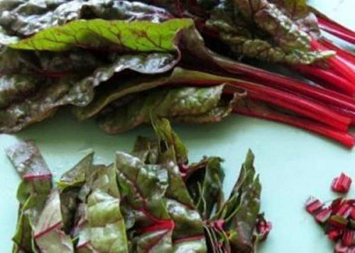 Мангольд, как использовать. Рецепты блюд из мангольда 03