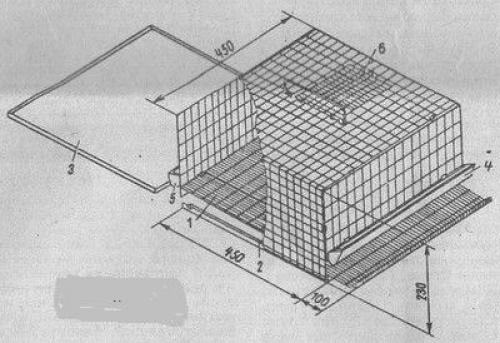 Разведение Перепелов- с чего начать. Выбор породы 06