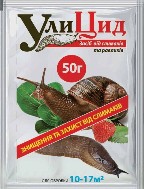 Как избавиться от слизней на помидорах. Народные и химические средства, как лучший метод борьбы с слизнями на помидорах — меры по профилактике