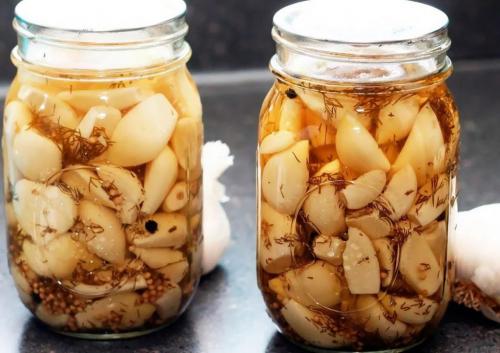 Как избавиться от слизней на помидорах. Народные и химические средства, как лучший метод борьбы с слизнями на помидорах — меры по профилактике