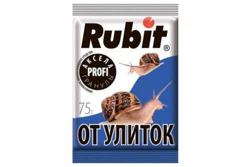 Как избавиться от слизней народными средствами. Как 100% избавиться от слизней на участке в огороде навсегда