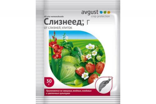 Как избавиться от слизней навсегда. Как 100% избавиться от слизней на участке в огороде навсегда