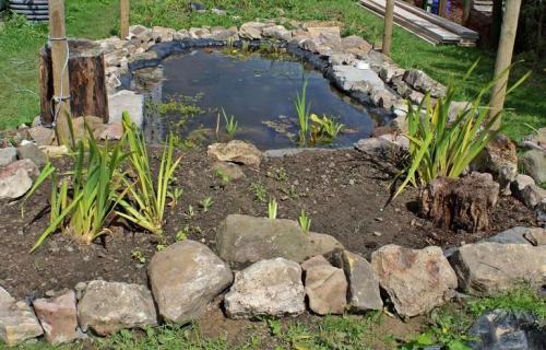 Как избавиться от улиток в огороде. Испробованные способы защиты огорода от назойливых улиток