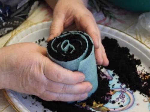 Улитки на перце. Посадка в улитку семян перца