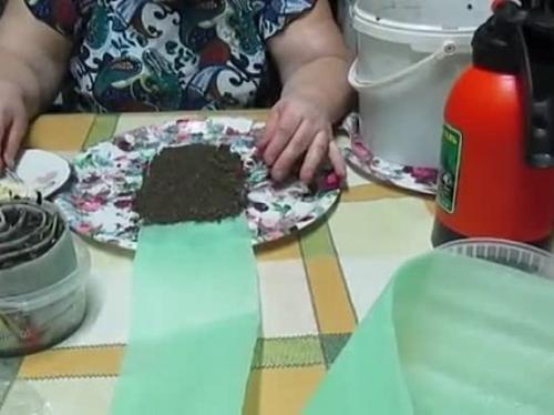 Улитки на перце. Посадка в улитку семян перца