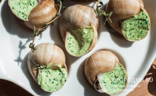 Улитки на деревьях. Механические средства устранения улиток