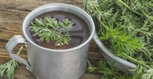 Как избавиться от слизней народным способом. Как избавиться от слизней народными методами