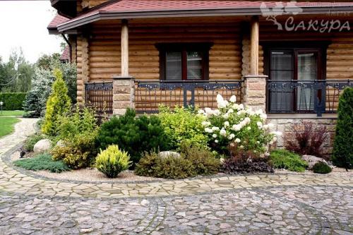 10 популярных растений для солнечной клумбы. Добавление статьи в новую подборку 01