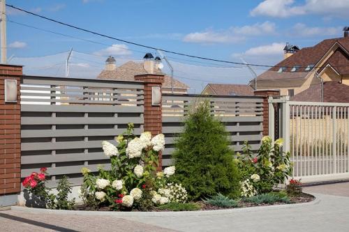 10 популярных растений для солнечной клумбы. Добавление статьи в новую подборку 02