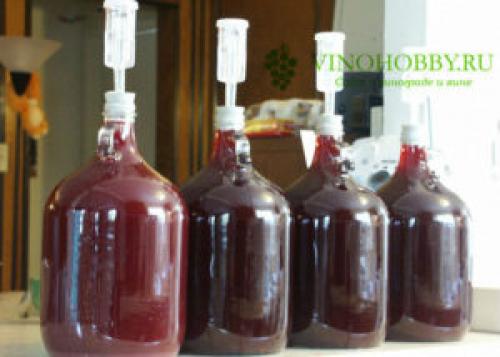 Как поставить вино из винограда в домашних условиях простой рецепт. Универсальная технология приготовления виноградного вина