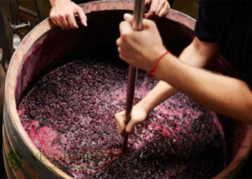 Как поставить вино из винограда в домашних условиях простой рецепт. Универсальная технология приготовления виноградного вина