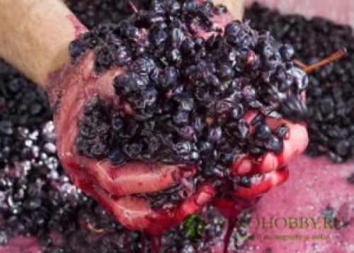 Как поставить вино из винограда в домашних условиях простой рецепт. Универсальная технология приготовления виноградного вина