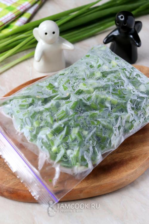 Методы сохранения лука и особенности. Способы сохранения лука 08