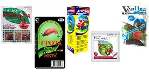 Методы борьбы со слизнями в домах и подвальных помещениях. Как избавиться от слизней в доме при помощи ловушек, приманок и народными способами 01