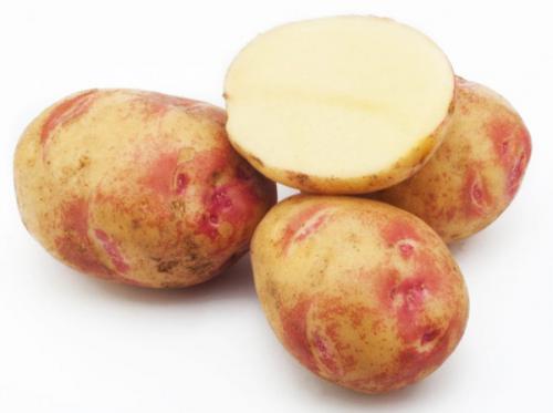 Картофель Пикассо. Описание сорта, фото, отзывы