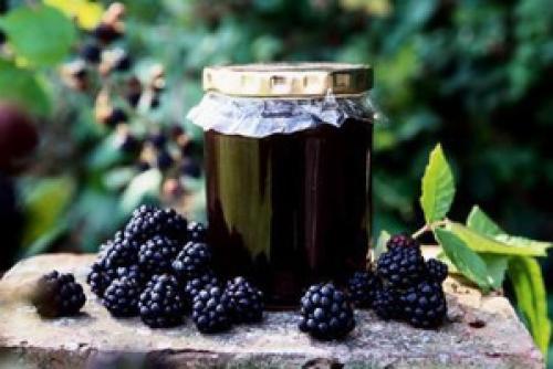 Как правильно хранить собранную ежевику. Как правильно хранить ежевику - заготовки