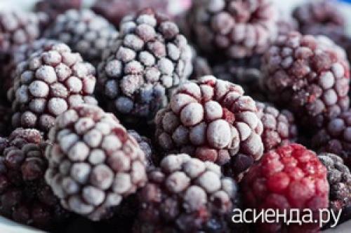 Как правильно хранить собранную ежевику. Как правильно хранить ежевику - заготовки