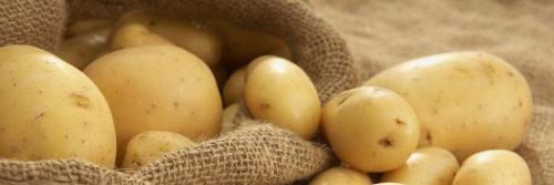Картофель Королева Анна: описание, преимущества, отзывы, видео, выращивание