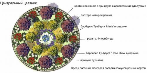 Клумба из многолетников для начинающих схемы. Готовые схемы красивых клумб разной формы из многолетних цветов в Подмосковье для начинающих