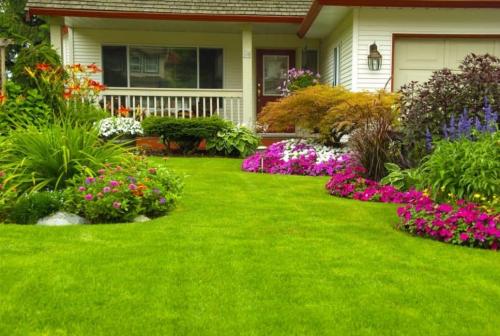 Идеи для ленивого сада. Идеи сада для ленивых. Можно не ухаживать — растет само, и как пышно! 12 Идеи для ленивого сада. Идеи сада для ленивых. Можно не ухаживать — растет само, и как пышно! 12