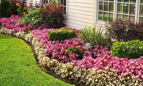 Идеи для ленивого сада. Идеи сада для ленивых. Можно не ухаживать — растет само, и как пышно! 10 Идеи для ленивого сада. Идеи сада для ленивых. Можно не ухаживать — растет само, и как пышно! 10