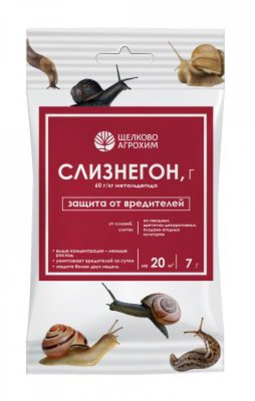 Как можно определить, что на даче появились слизни. Способы борьбы с улитками и слизнями