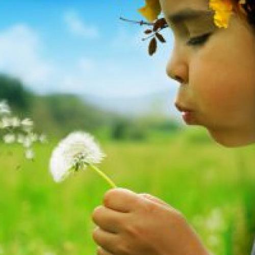 С апреля по октябрь: как провести летний сезон 14