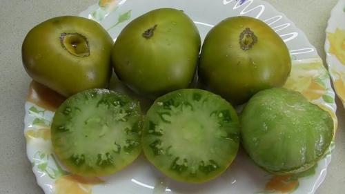 Томаты на 2022 год. Топ 10 лучших сортов томатов с описанием