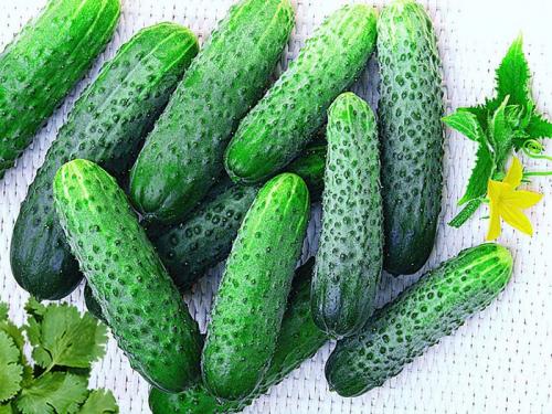 Лучшие сорта помидор на 2022 год. Описание лучших сортов томатов для открытого грунта — по отзывам садоводов 12