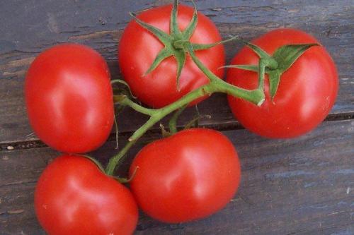 Самые урожайные сорта томатов. Лучшие сорта томатов для открытого грунта: фото, названия и описания (каталог)