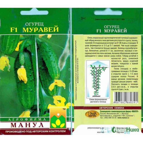 Лучшие сорта огурцов и томатов для посадки в 2022 году. Урожайные сорта огурцов — рейтинг 2022 года