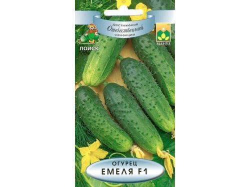 Лучшие сорта огурцов и томатов для посадки в 2022 году. Урожайные сорта огурцов — рейтинг 2022 года