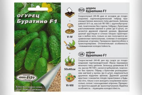 Лучшие сорта огурцов и томатов для посадки в 2022 году. Урожайные сорта огурцов — рейтинг 2022 года